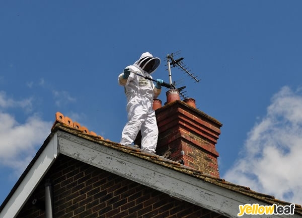 Pest Exterminators