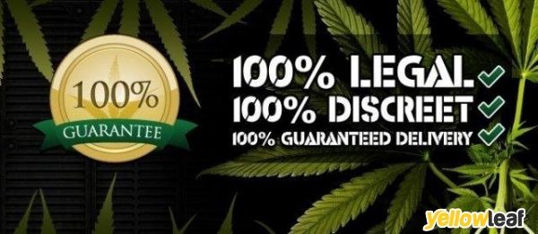 The Vault Cannabis Seeds Store