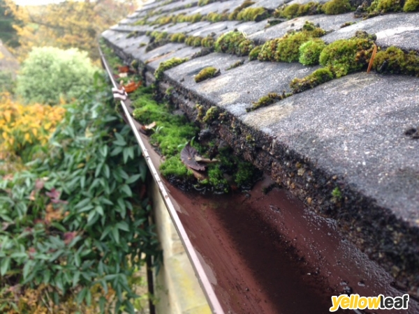 Sky Roof Cleaning and Moss Removal