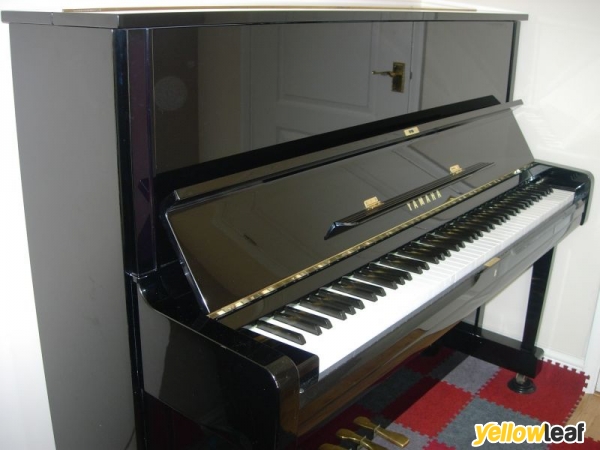 Moonlight Pianos Moonlight Pianos