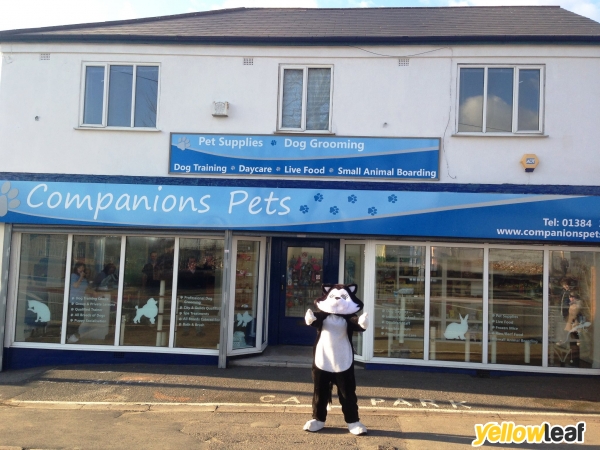 Companions Pets Ltd