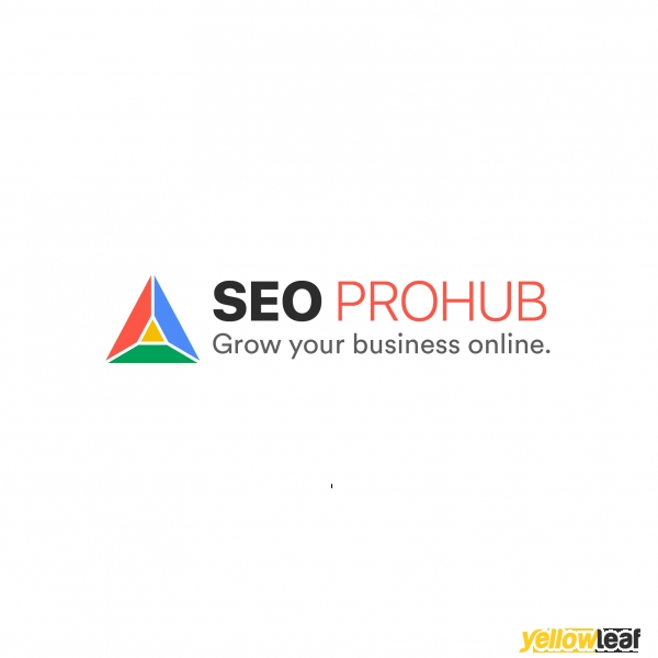 SEO PROHUB