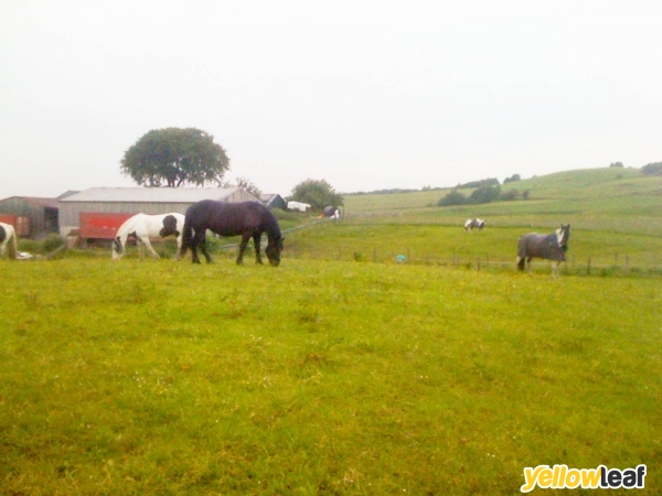 Hough Farm Livery Yard
