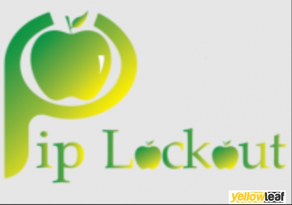 Pip Lockout locksmith Andover