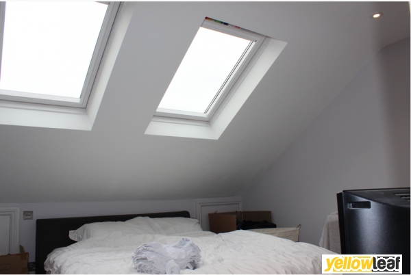 Central London Lofts