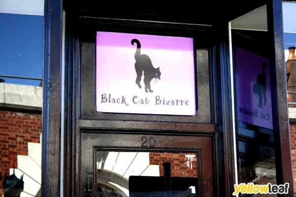 Black Cat Bizarre
