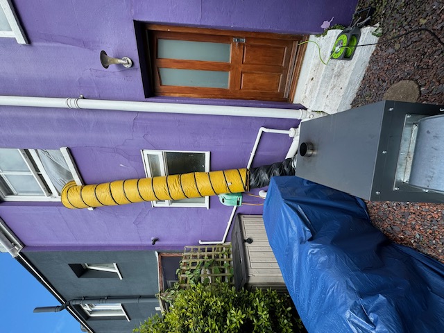 ThermoPest Bed Bug Treatment London