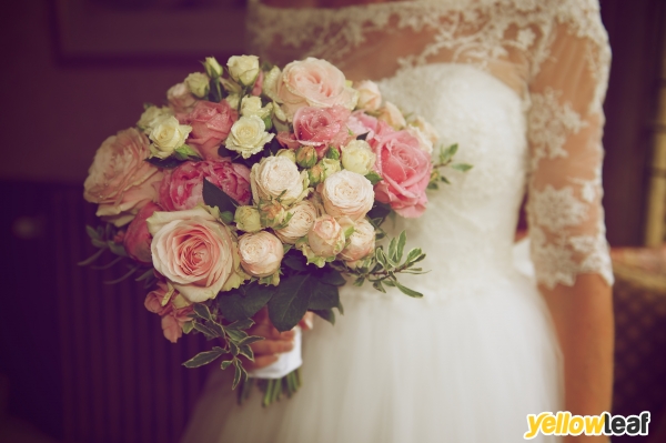 Dinky Pics Portrait Photography & SVP Wedding Photography