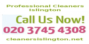 Professional Cleaners Islington