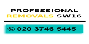 Professional Removals SW16