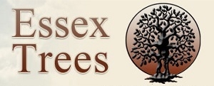 Essex Trees