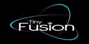 Tiny Fusion Ltd