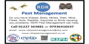 Rdr Pest Management
