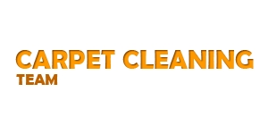 Carpet Cleaning Team