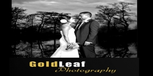 Gold Leaf Photography