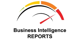 Business Intelligence Reports