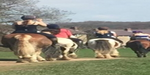 Rmc Equestrian Centre