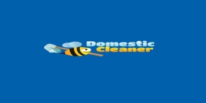 Domestic Cleaner Ltd