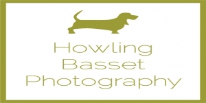 Howling Basset Wedding Photography