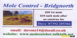 Bridgnorth Mole Catcher aka Mole Control - Bridgnorth