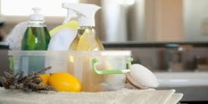 Professional Cleaning Company Harlesden