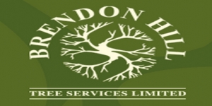 Brendon Hill Tree Services Ltd
