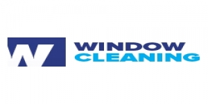 Professional Window Services
