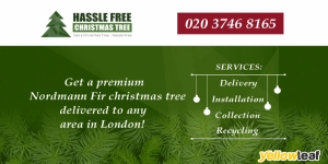 Hassle Free Christmas Tree