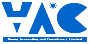 YOUNG ACCOUNTING AND CONSULTANCY LTD