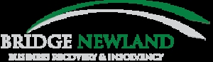 Bridge Newland Limited