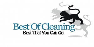 Best of Cleaning