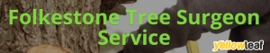 Tree Surgeon Folkestone