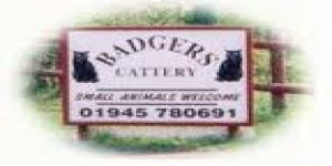 Badgers Cattery and Grooming Parlour