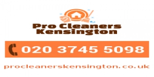 Professional Cleaners Kensington