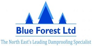 Blue Forest (NE)