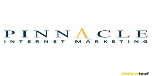 Pinnacle Internet Marketing