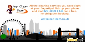 Amy Clean Team