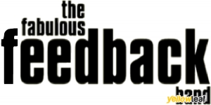 The Fabulous Feedbackband