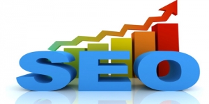 SEO Delhi