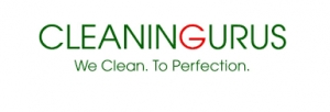 Cleaning Gurus