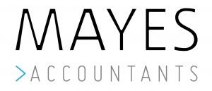 Mayes Business Partnership Ltd