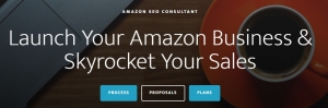 Amazon SEO Consultant
