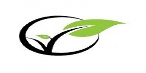 Cambridge Startup Help