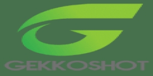 Gekkoshot Web Design