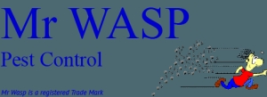 Mr Wasp