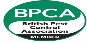 Integrated Pest Management Ltd