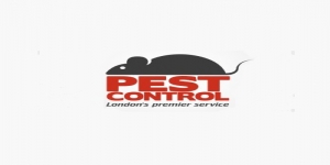 Budget Pest Control London