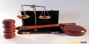 legal service translation