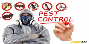North Essex Pest Control