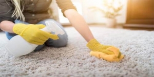 Carpet Cleaning Northampton and Around Your Town